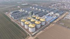 更是深化国企、办事村落复兴大局的环节